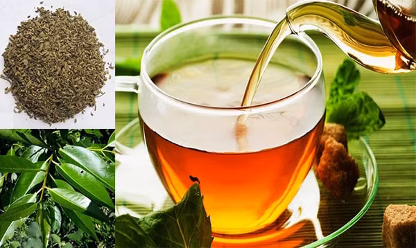 Uong coc nuoc nay moi ngay, vua sach ruot vua dao thai doc to