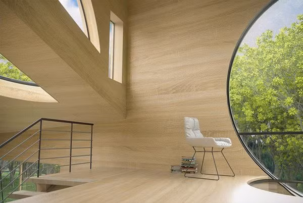 Những giếng trời mặt kính hình bán nguyệt lạ mắt.