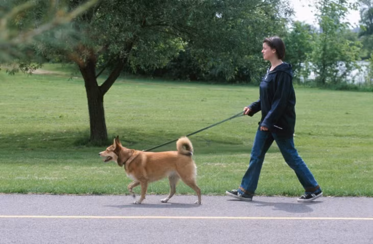 Loat cong viec lam them “chat lu” chi can dien thoai di dong