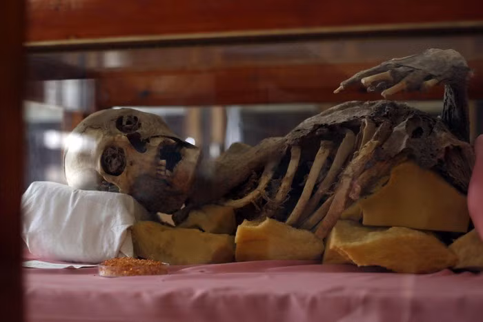 Phien quan phat hien xac uop 3.000 nam tuoi o Yemen-Hinh-2