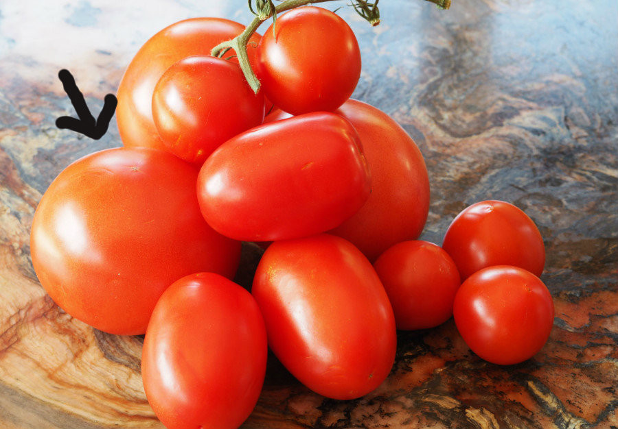 Bi quyet nhan biet ca chua 