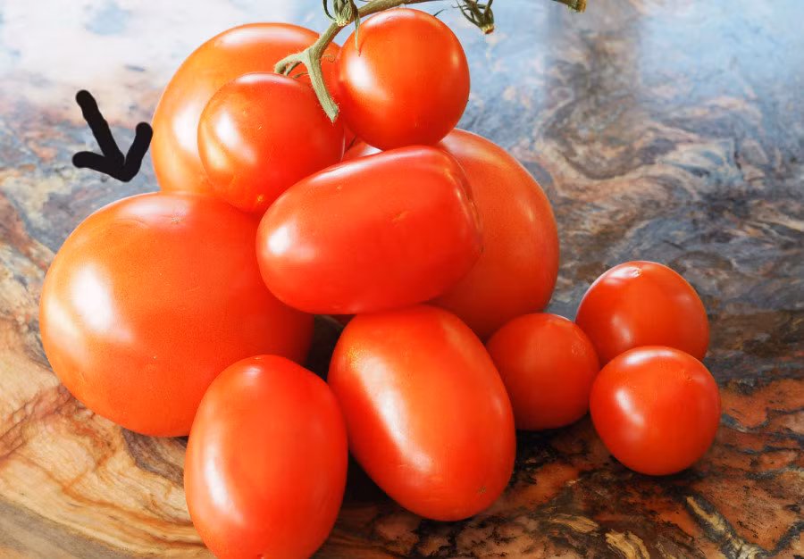 Bi quyet nhan biet ca chua 