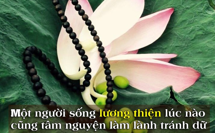 Lam nguoi ac co sung suong khong?