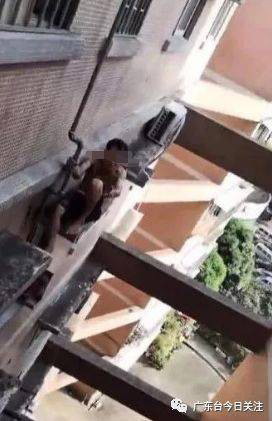 Nghe hang xom cat giong hat, nguoi dan ong bo luon y dinh nhay lau tu tu