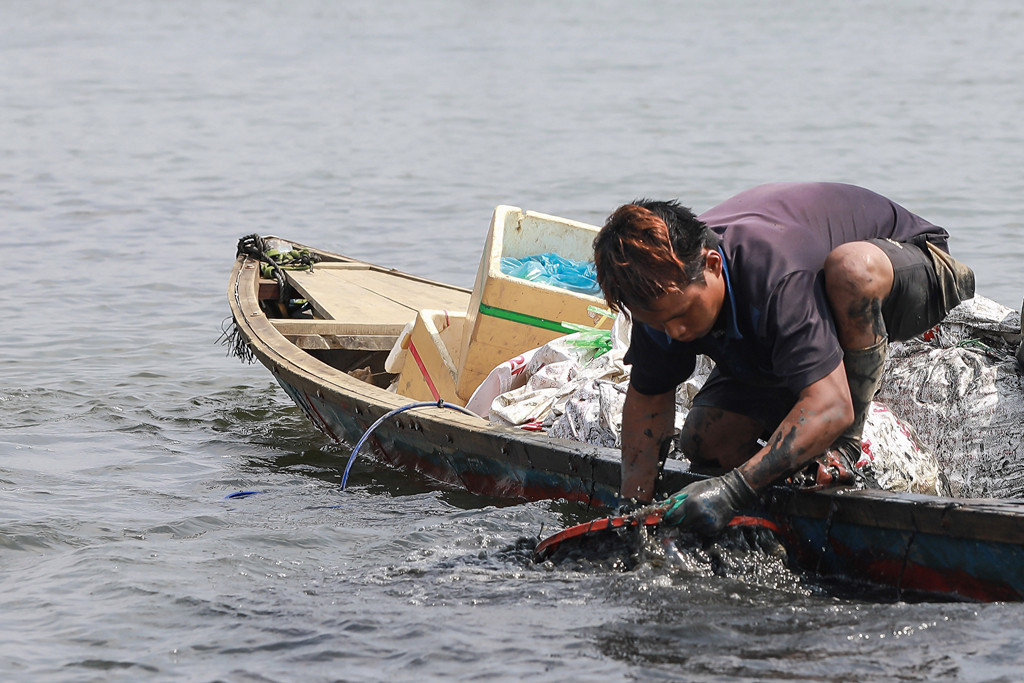 Theo kinh nghiệm của ngư dân, chu kỳ sinh trưởng của loài vẹm đen chỉ trong vài tháng. Những người thợ tranh thủ mùa vụ để khai thác. Anh Alang Cương cho biết không phải dân sông nước nhưng làm lâu quen tay và rất khéo léo trong việc đánh bắt vẹm.