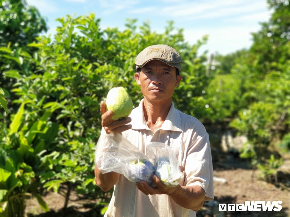 Vuon trai cay Nam Bo bac ty cua nguoi phu nu xu Quang-Hinh-3