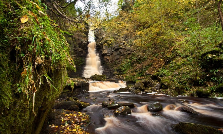 Dòng thác Mill và Whitfield, ở Wensleydale, trong công viên quốc gia Yorkshire Ngôi làng Askrigg đẹp như tranh vẽ ở Wensleydale nổi tiếng có hai thác nước tuyệt vời, Mill và Whitfield. Du khách phải đi lối đi phía sau của công viên, ngang qua đồng cỏ rồi mới đến thác Mill trong khu rừng rậm rạp. Thác nước đổ xuống vách núi chằng chịt cây leo của hang động. Tiếp tục đi đến Whitfield trước khi đi ra khỏi thung lũng và lần theo vùng đất hoang trở lại Askrigg. Daniel Ashman