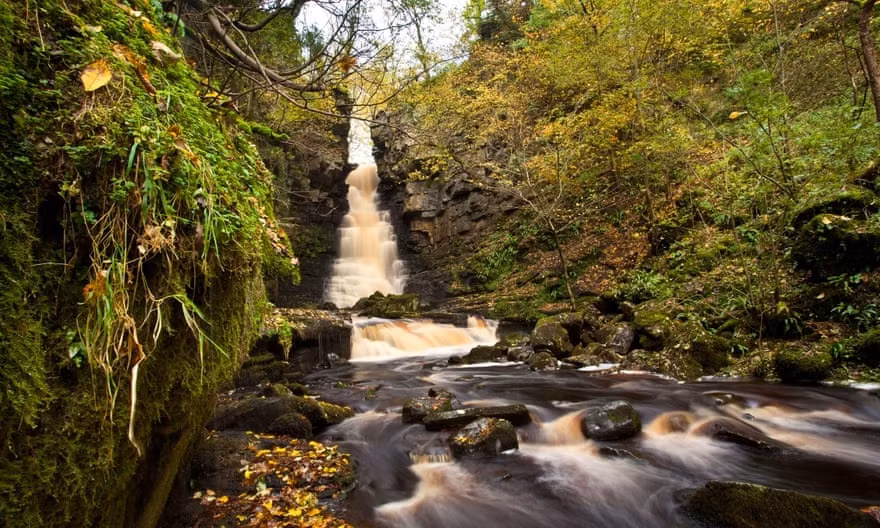 Dòng thác Mill và Whitfield, ở Wensleydale, trong công viên quốc gia Yorkshire Ngôi làng Askrigg đẹp như tranh vẽ ở Wensleydale nổi tiếng có hai thác nước tuyệt vời, Mill và Whitfield. Du khách phải đi lối đi phía sau của công viên, ngang qua đồng cỏ rồi mới đến thác Mill trong khu rừng rậm rạp. Thác nước đổ xuống vách núi chằng chịt cây leo của hang động. Tiếp tục đi đến Whitfield trước khi đi ra khỏi thung lũng và lần theo vùng đất hoang trở lại Askrigg. Daniel Ashman