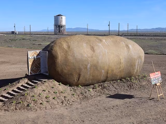 Mat hon 4 trieu de o trong cu khoai tay khong lo mot dem-Hinh-2