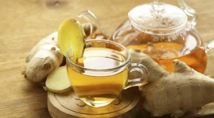 Loai thao moc giup giam mo bung hieu qua-Hinh-2