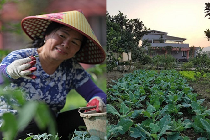 Gian nhà màu xanh rộng nhất trong 5 nhà. Trước hiên là những chậu hoa Mộc Hương tỏa mùi thơm dịu nhẹ. Ấy vậy mà gia chủ có những thói quen vô cùng giản dị, chân phương… Khu vườn rau xanh với nhiều loại như xà lách, su hào, bắp cải… Từ khi về đây sống, gia đình chị không phải mua rau. Bắt sâu, tỉa hoa và tưới cây là những công việc yêu thích của chị Tâm.