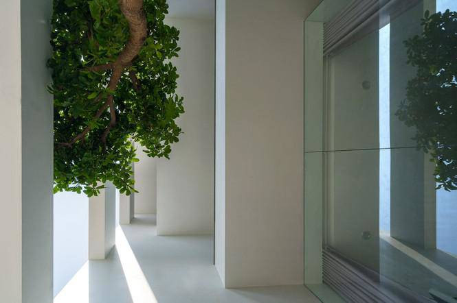 Cây xanh và ánh sáng lan tỏa khắp nơi.