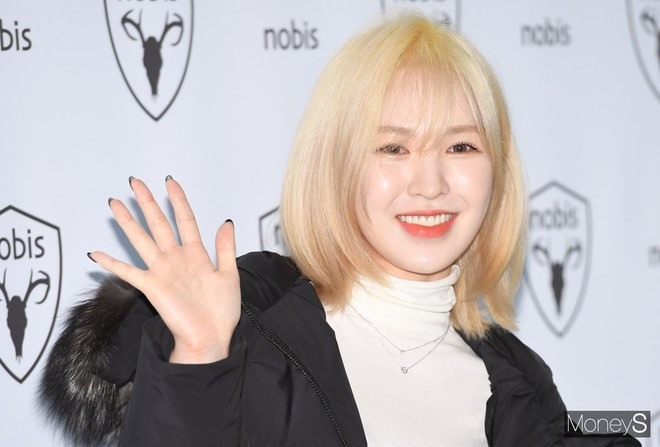 Wendy sinh năm 1994. Cô xuất thân trong một gia đình yêu âm nhạc và có ước mơ trở thành ca sĩ khi mới lên 5 tuổi. Bên cạnh niềm đam mê ca hát, cô cũng còn có khả năng chơi nhiều nhạc cụ như đàn piano, guitar, sáo và saxophone. Nữ idol nhà SM chính thức ra mắt với tư cách là thành viên của Red Velvet thông qua sản phẩm âm nhạc Happiness, phát hành vào tháng 8/2014.