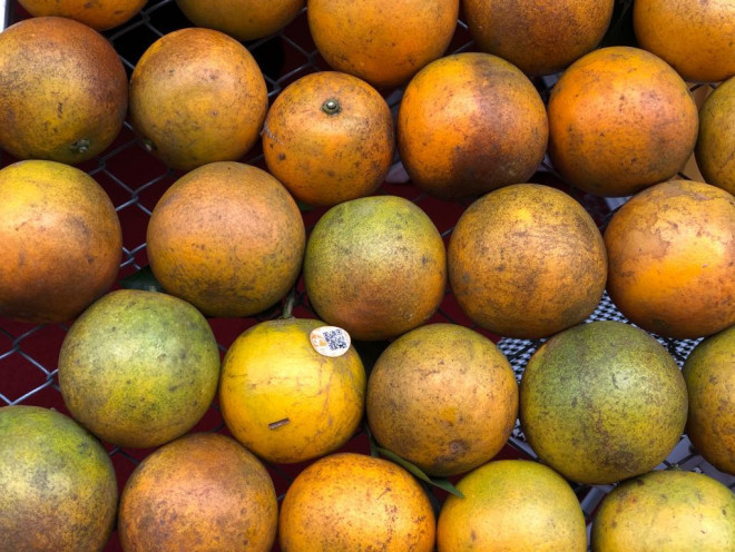 Loan cam Cao Phong gia re mot nua 