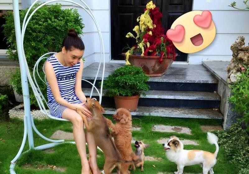 Từ lâu đã rút lui khỏi showbiz, Hồ Quỳnh Hương chỉ thỉnh thoảng làm giám khảo của một số gameshow và giới thiệu một vài sản phẩm âm nhạc mới. Nữ ca sĩ Hồ Quỳnh Hương hiện tập trung vào công việc kinh doanh và công ty giải trí riêng. Ít ai biết rằng, giọng ca gốc Quảng Ninh sở hữu khối gia sản khổng lồ tại TP. HCM.