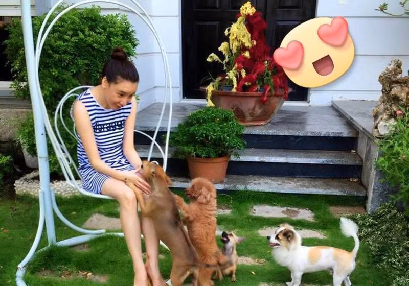 Ngam biet thu khung cua my nhan an chay, goi cam bac nhat chau A