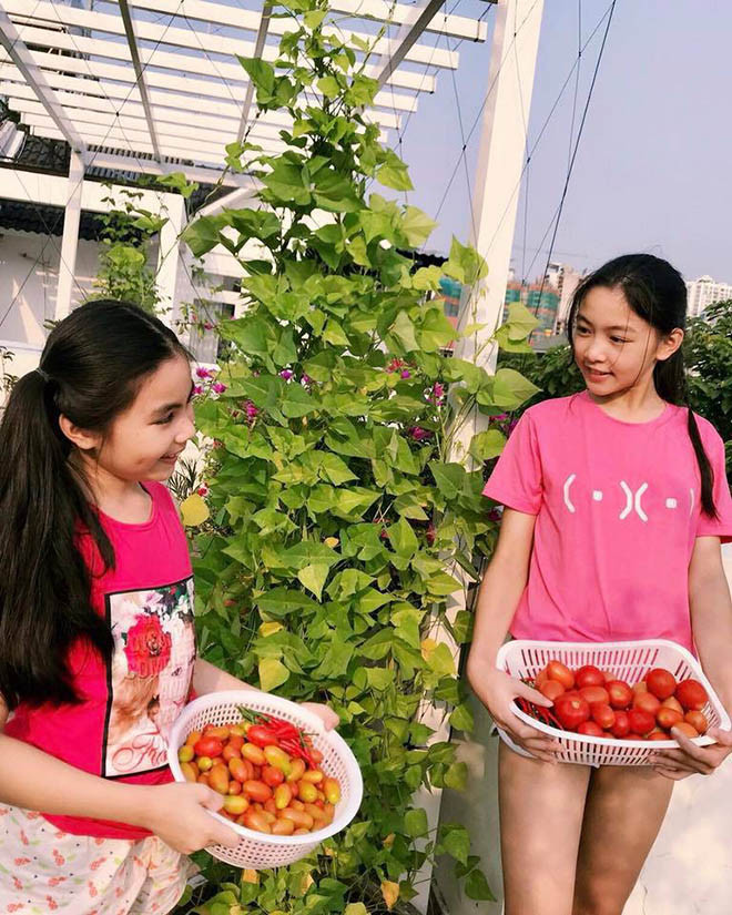 ... hay chăm sóc cây cảnh trong vườn nhà.