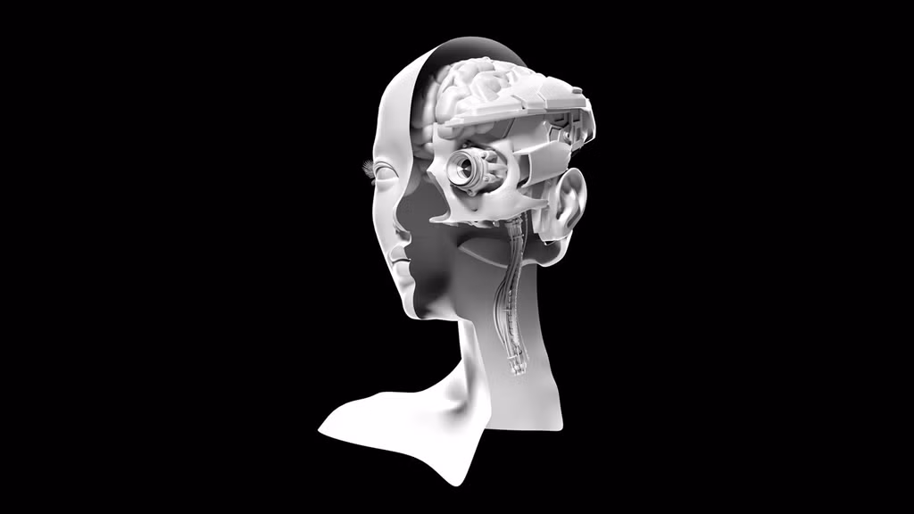 Phat hien moi cho thay nao nguoi co the tao khong gian 11 chieu-Hinh-2