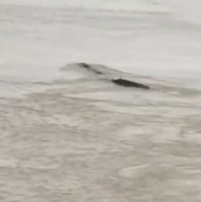 'Quai vat ho Loch Ness' phien ban Trung Quoc gay xon xao du luan