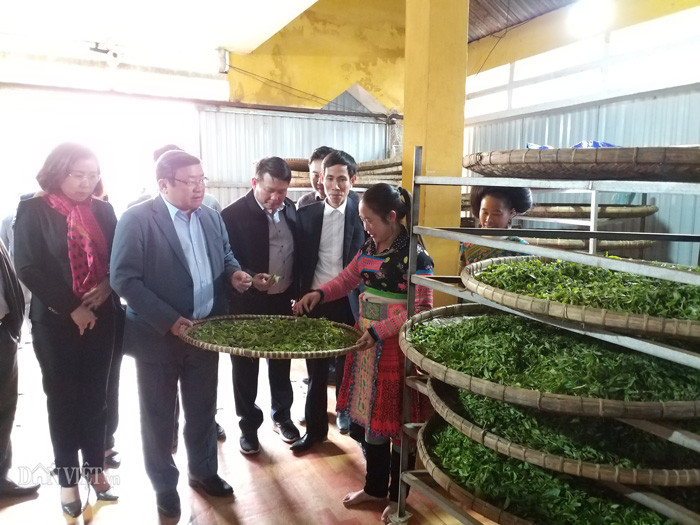 Dang dem chen chan soi den leo cay hai che 