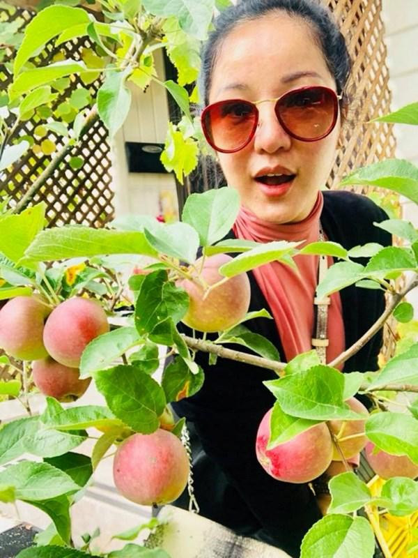 Theo lời Thúy Nga, căn nhà của Mỹ Vân đang sống có giá khoảng 2 triệu đôla (tương đương khoảng 46 tỷ đồng). Đặc biệt hơn khi bên ngoài, Mỹ Vân dành hẳn 1 góc làm nơi trồng cây ăn quả, rau sạch…