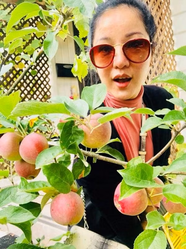 Theo lời Thúy Nga, căn nhà của Mỹ Vân đang sống có giá khoảng 2 triệu đôla (tương đương khoảng 46 tỷ đồng). Đặc biệt hơn khi bên ngoài, Mỹ Vân dành hẳn 1 góc làm nơi trồng cây ăn quả, rau sạch…