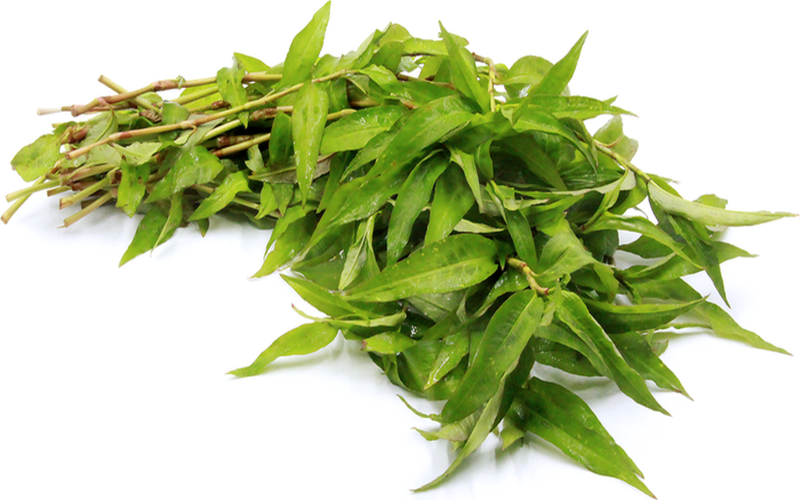 Phụ nữ mang thai ba tháng đầu nên hạn chế ăn rau răm, vì ăn rau răm nhiều dễ bị mất máu. Thêm vào đó, trong rau răm có chứa chất có thể gây ra tình trạng co bóp tử cung.