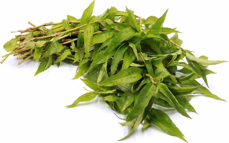 Phụ nữ mang thai ba tháng đầu nên hạn chế ăn rau răm, vì ăn rau răm nhiều dễ bị mất máu. Thêm vào đó, trong rau răm có chứa chất có thể gây ra tình trạng co bóp tử cung.