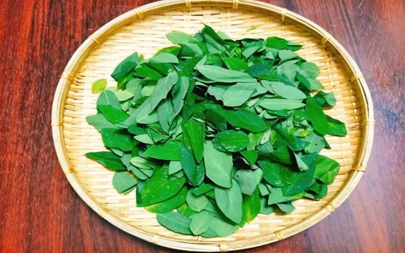 Rau ngót gây ra hiện tượng co thắt cơ trơn tử cung, tiêu chảy do trong rau ngót tươi có chứa một chất có hàm lượng papaverin. Nếu dùng trên 30gram lá rau ngót tươi có thể dẫn đến nguy cơ sảy thai cao.