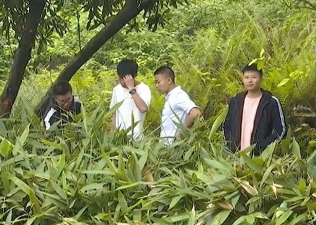 Di dao choi, tinh co vap phai trung khung long 66 trieu nam tuoi