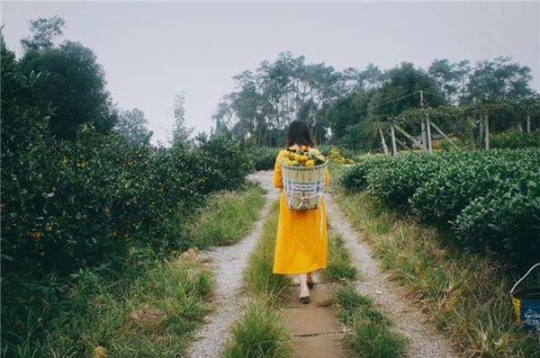 Bo viec ve que trong hoa, nu giam doc khien moi nguoi bat ngo voi thanh qua-Hinh-5