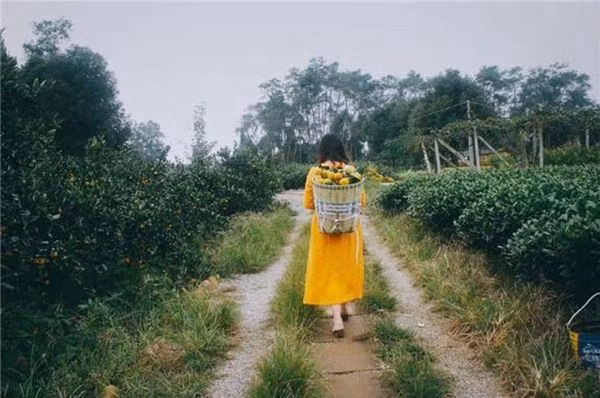 Bo viec ve que trong hoa, nu giam doc khien moi nguoi bat ngo voi thanh qua-Hinh-5