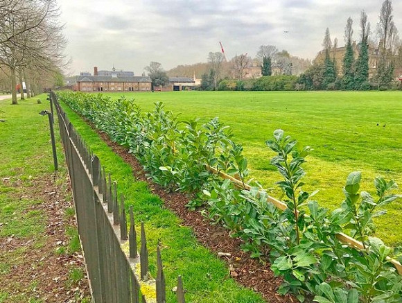 Hoang tu William chi tien ty bien noi o rieng tu bat kha xam pham