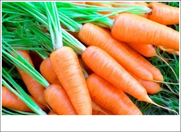 Meo hay giup bao quan rau cu qua tuoi lau trong ngay nang nong