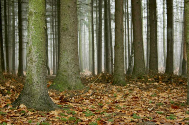 Nu sinh 12 tuoi linh tron 25 cu dam chi mang tu ke sat nhan bi an