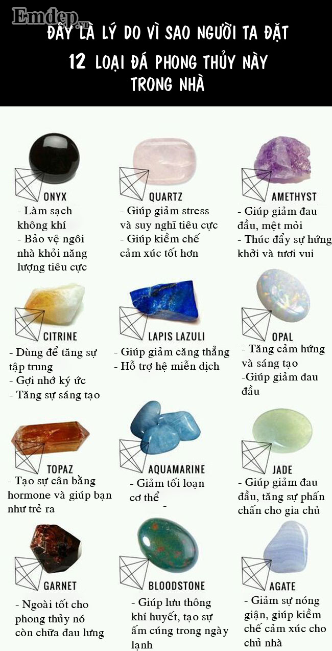 Ly do nguoi ta dat 12 loai da phong thuy nay trong nha