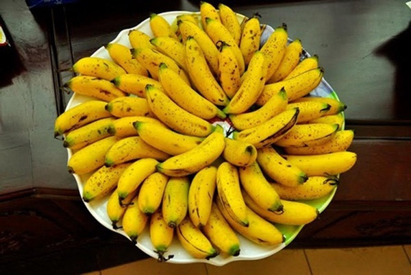 Cho dai an 5 thuc pham nay vao bua sang keo tu dau doc co the