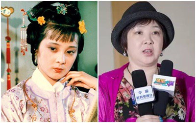 Nhiều nghệ sĩ trong dàn diễn viên Hồng lâu mộng bỏ nghiệp diễn để chuyển sang kinh doanh, trong đó có Hồ Trạch Hồng (đóng vai Giả Tích Xuân). Cô cũng chọn con đường kinh doanh sau một thời gian dài không tìm được vai diễn phù hợp.