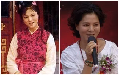 Nhân vật Tập Nhân - người đứng đầu trong số A hoàn của Giả Bảo Ngọc - do nữ diễn viên Viên Mai đóng. Giống như nữ diễn viên Đông Phương Văn Anh, cô tập trung vào sự nghiệp sản xuất phim ảnh hơn là tham gia diễn xuất.