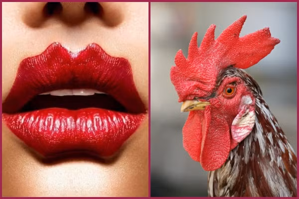 ...hoặc mào gà đặc biệt là khi đánh son tông đỏ.