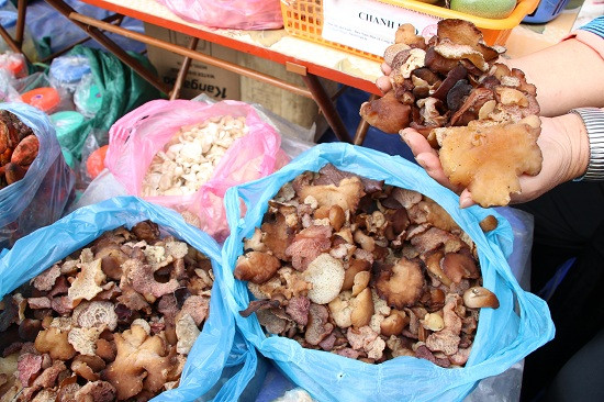 Nấm mộc nhĩ do bà con người dân tộc Mông hái trên rừng mang xuống chợ bán.