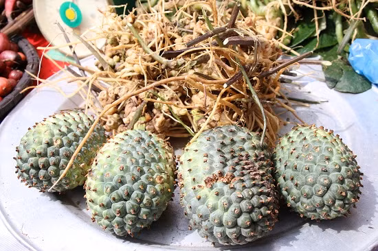 Quả dứa dại, một trong những loại thảo dược có tác dựng chữa bệnh được người dân hái trên rừng mang xuống chợ bán.