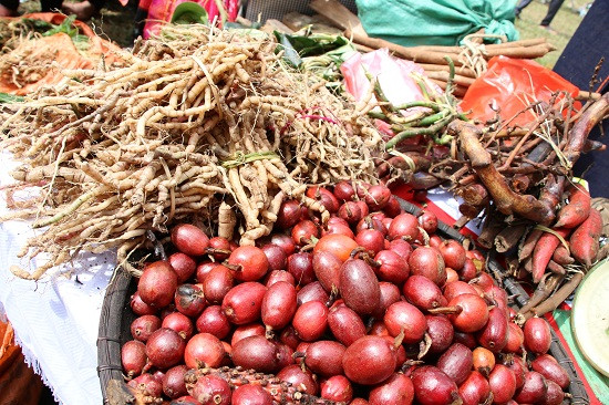 Vùng cao Tây Bắc, nơi có nhiều núi, nhiều rừng nên có rất nhiều loại cây, cỏ, nông sản quý hiếm, được người dân ở phố thị săn tìm như: Thảo quả, nhân sâm, linh chi, ngọc cẩu... và các loại cây thuốc gia truyền của đồng bào dân tộc thiểu số.