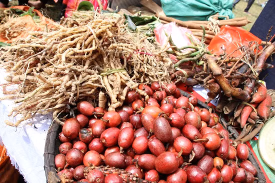 Vùng cao Tây Bắc, nơi có nhiều núi, nhiều rừng nên có rất nhiều loại cây, cỏ, nông sản quý hiếm, được người dân ở phố thị săn tìm như: Thảo quả, nhân sâm, linh chi, ngọc cẩu... và các loại cây thuốc gia truyền của đồng bào dân tộc thiểu số.