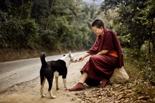 Muon cai bien van menh, phai giac ngo duoc loi Phat day sau