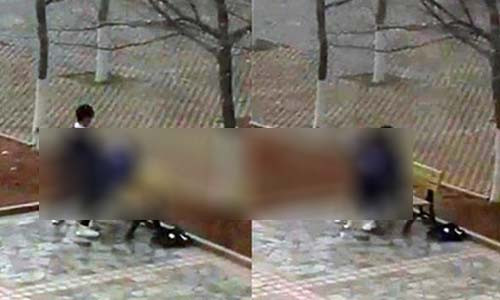 Cap doi yeu duong nong bong trong vuon truong gay phan no