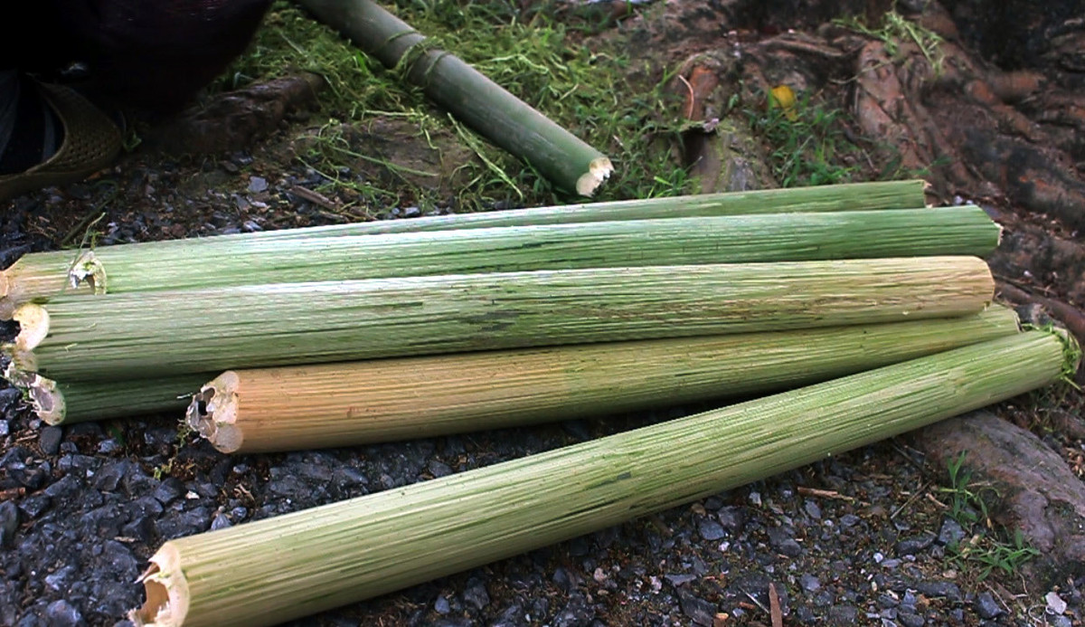 Ca lang mon tay, toe mau khi Tet den: 