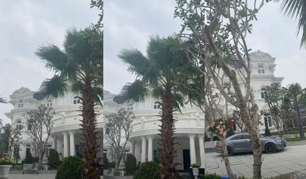 Đây là thanh bộ từ tầng trên xuống tầng dưới nhà Lan Khuê. Hai bên lan can đều được dát vàng và dùng những họa tiết cầu kỳ, uốn lượn. Ngay cả bậc thang cũng được dùng loại đá tốt nhất để lát. Tòa lâu đài mà vợ chồng Lan Khuê đang sống sử dụng màu trắng làm chủ đạo. Những tưởng nó sẽ mang màu sắc của sự thanh lịch hơi có phần lãnh đạm nhưng gia đình chồng cô khéo léo lồng vào chút sắc vàng của đèn, của vàng. Thế nên căn nhà này đẹp mắt và ấm áp hơn hẳn. Thậm chí, để căn nhà đẹp hơn, gia đình cô không ngại dùng thảm lót ở dưới sàn. Nó trông như thảm đỏ trải dài trong một sự kiện giải trí tầm cỡ nào đó.