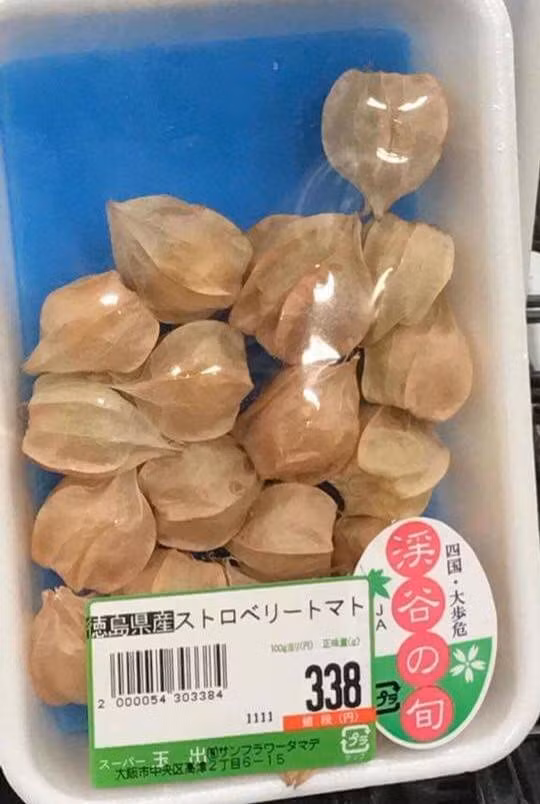 Tại Nhật Bản, quả tầm bóp được đóng khay bán trong các siêu thị, cửa hàng với 338 yên Nhật, tương đương khoảng 70.000 một lạng.