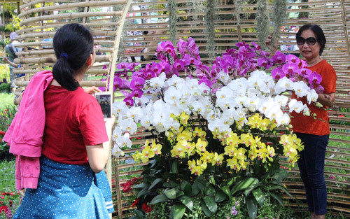 Tham vuon lan thu 5 ty/nam giua long Sai Gon